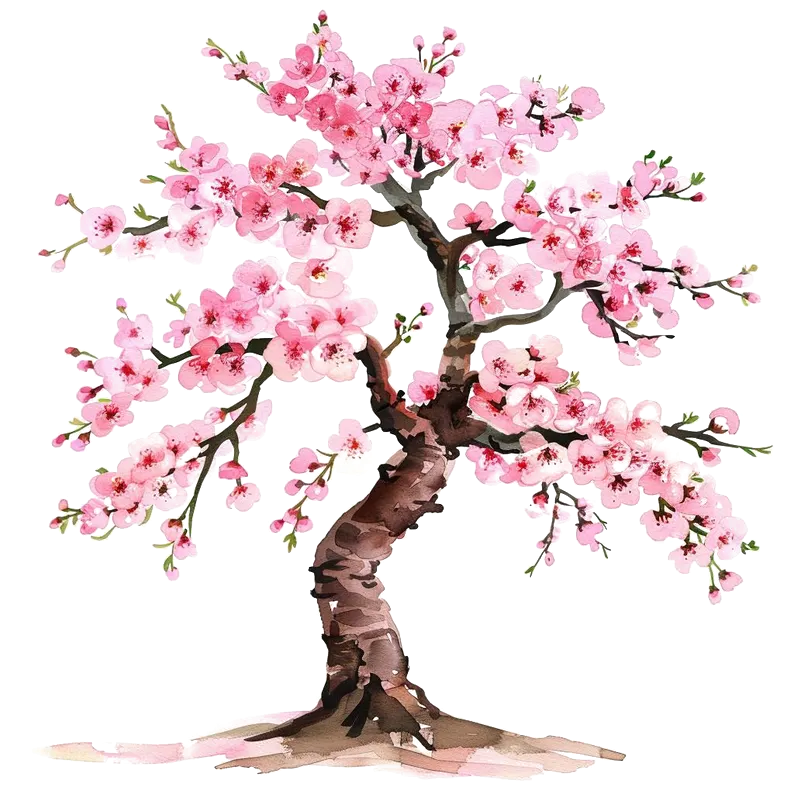 cherry blossom tree